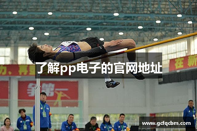 了解pp电子的官网地址